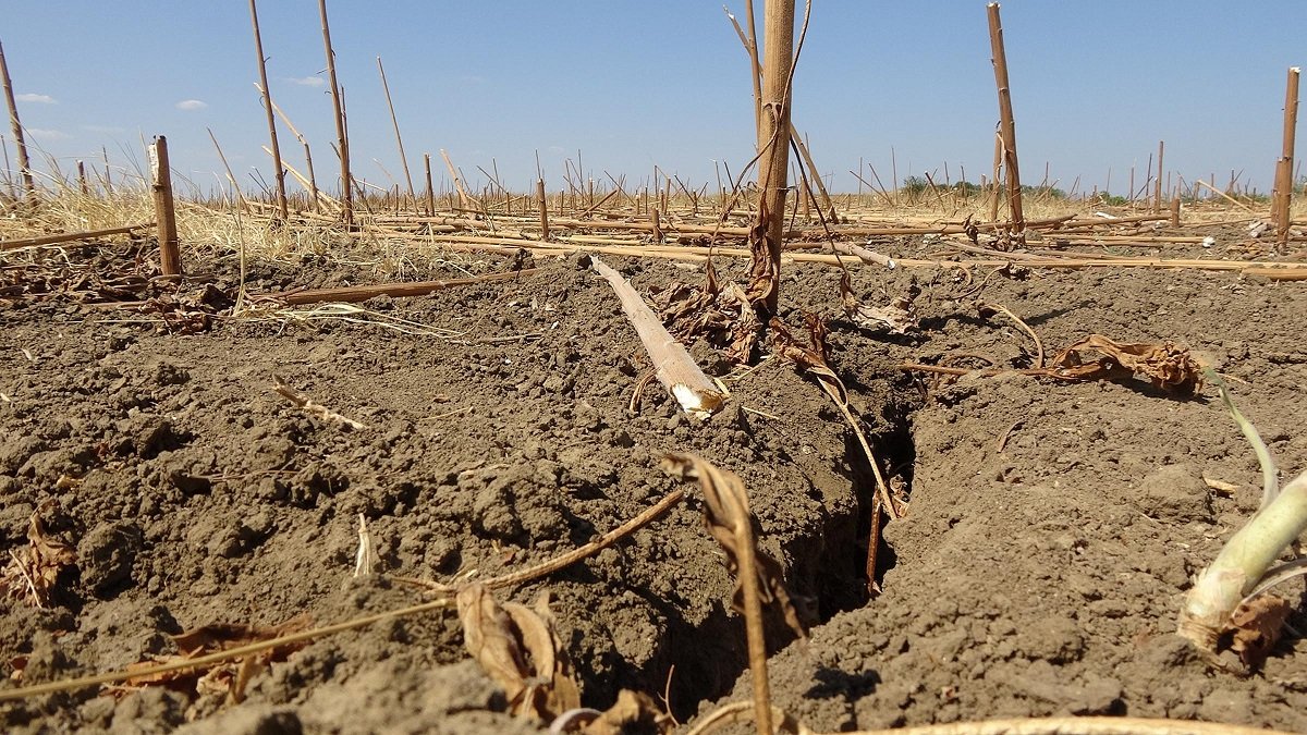 Edirne Belediye Başkanı: “Yeraltı Sularımız Yüzde 85 Azaldı, Faciaya Doğru Gidiyoruz”