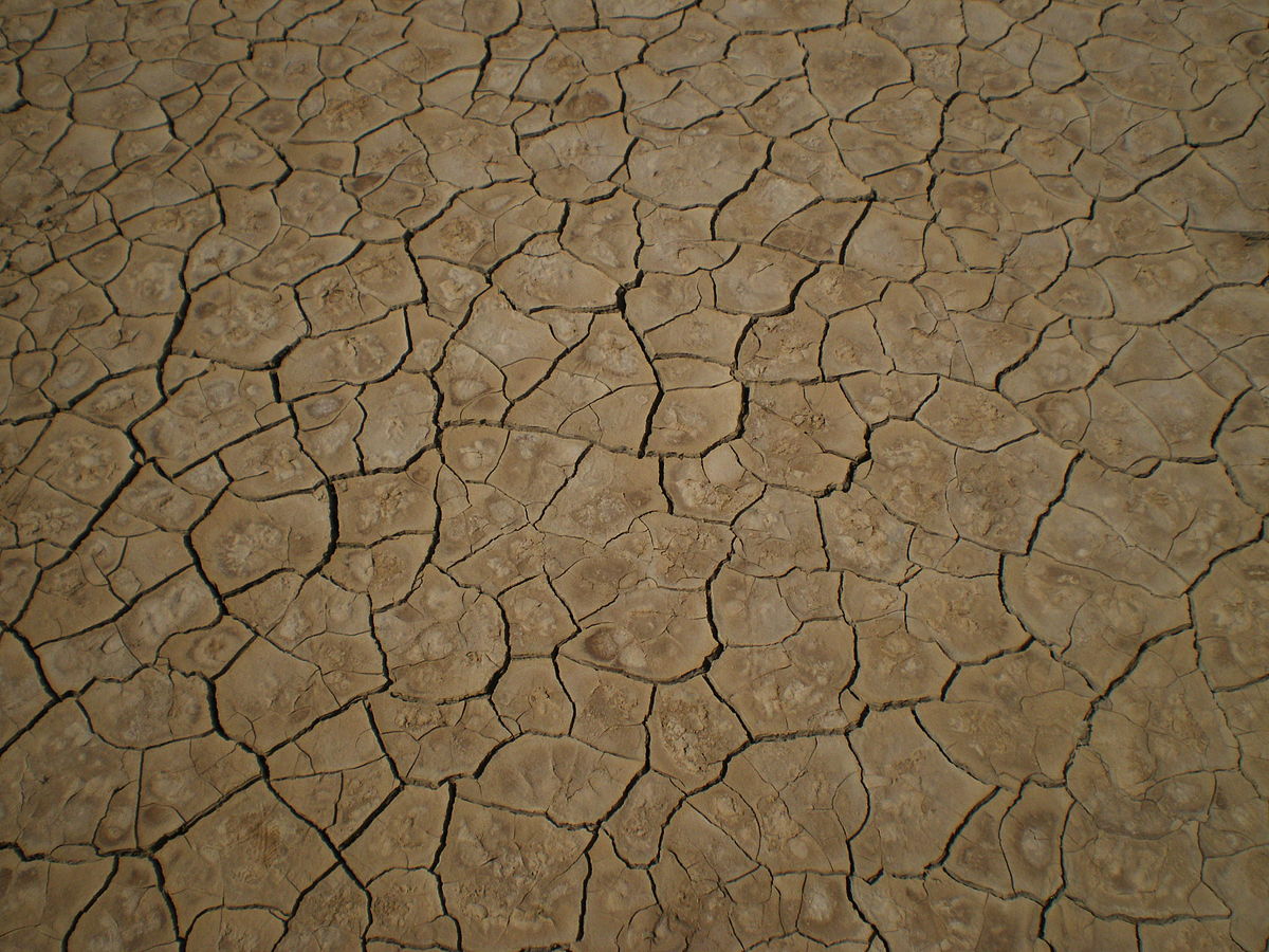 Bakan Pakdemirli: “2020 Son 5 Yılın En Kurak Yılı Olabilir”