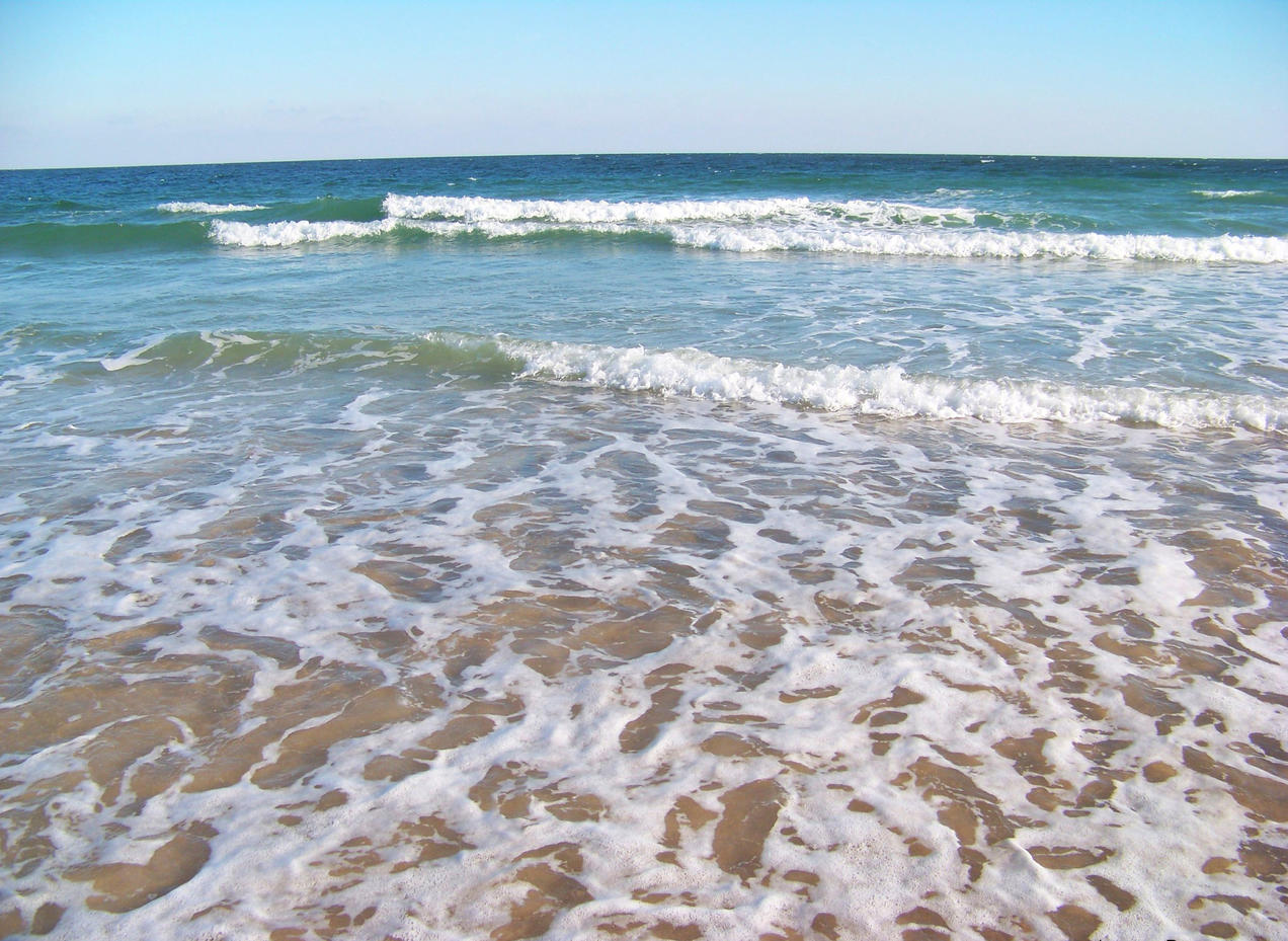 2020’de Okyanus Sıcaklıkları Rekor Seviyesine Ulaştı