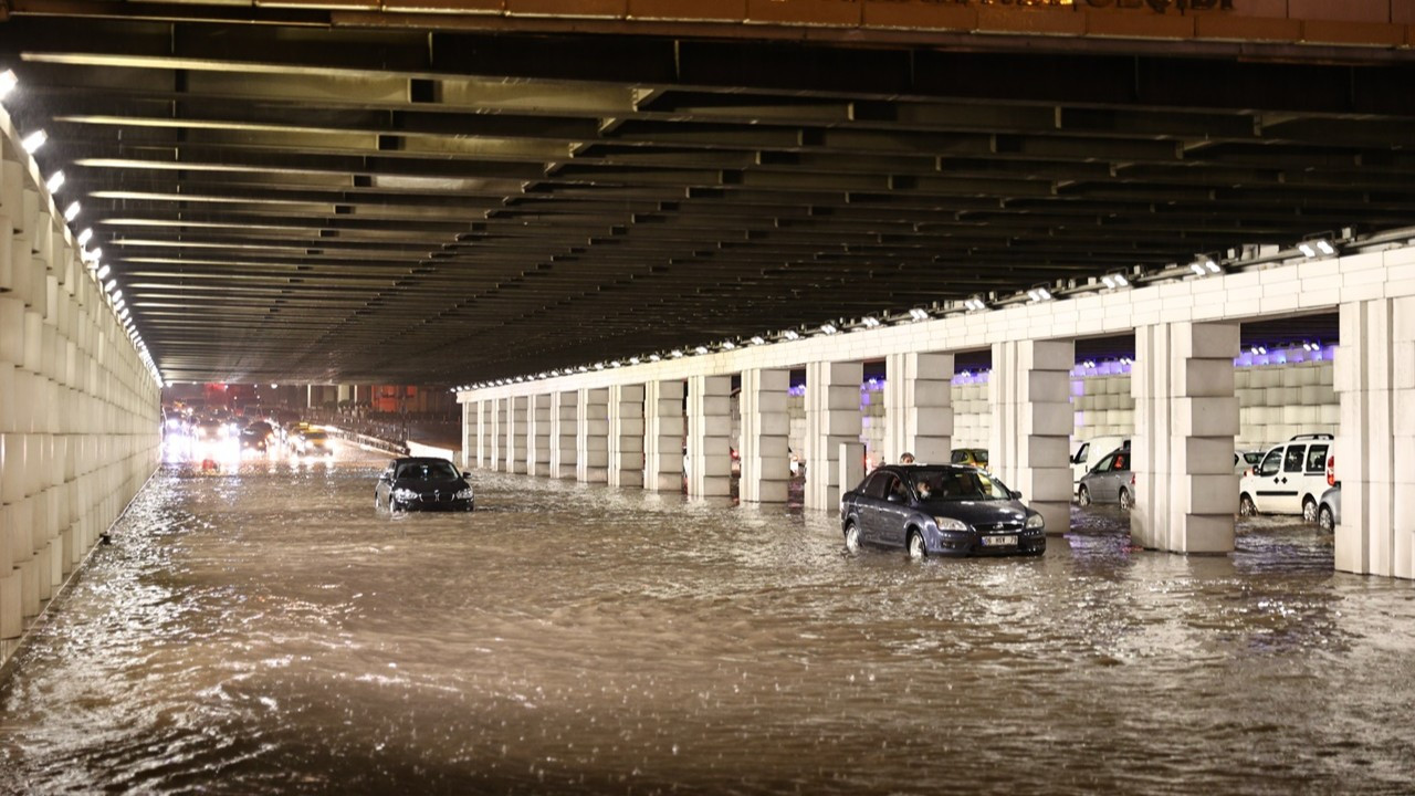 Çevre Hareketinde Yeni Bir Gençlik Deneyimi: Yeşil Gelecek Derneği