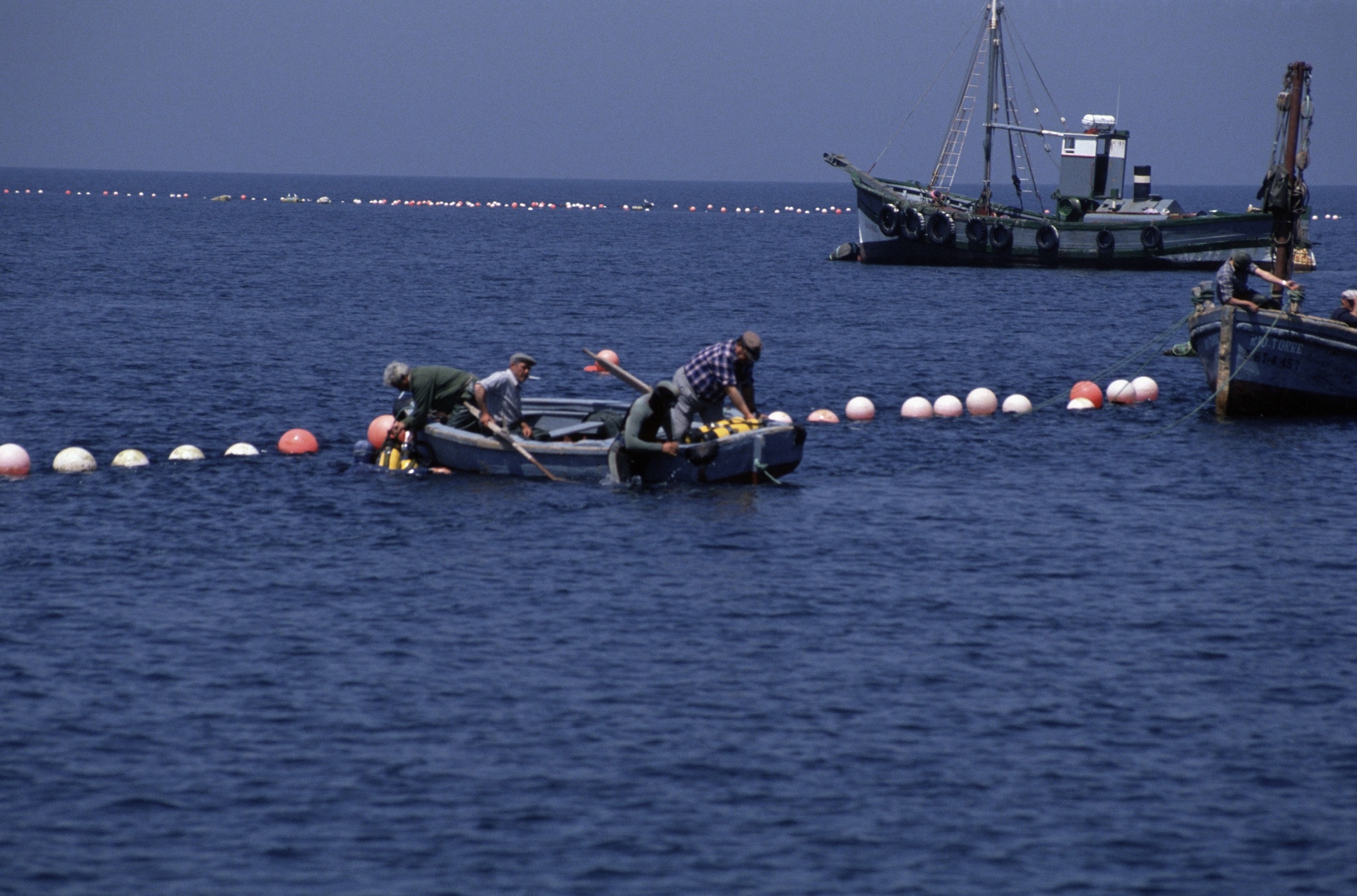 WWF: Akdeniz’in En Az Üçte Biri Etkin Şekilde Korunmalı
