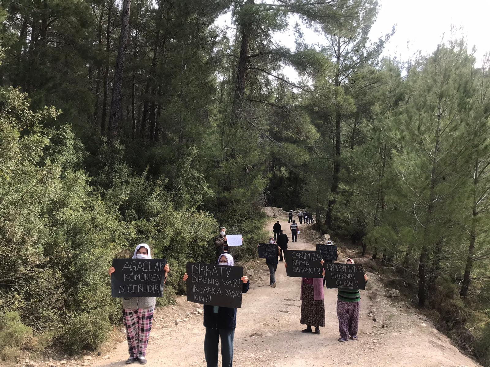Erdoğan Orman Varlığını Artırdığını Anlatıyor, İkizköylüler Kömür Madenine Karşı Ormanlık Alanlarına Sahip Çıkıyor!
