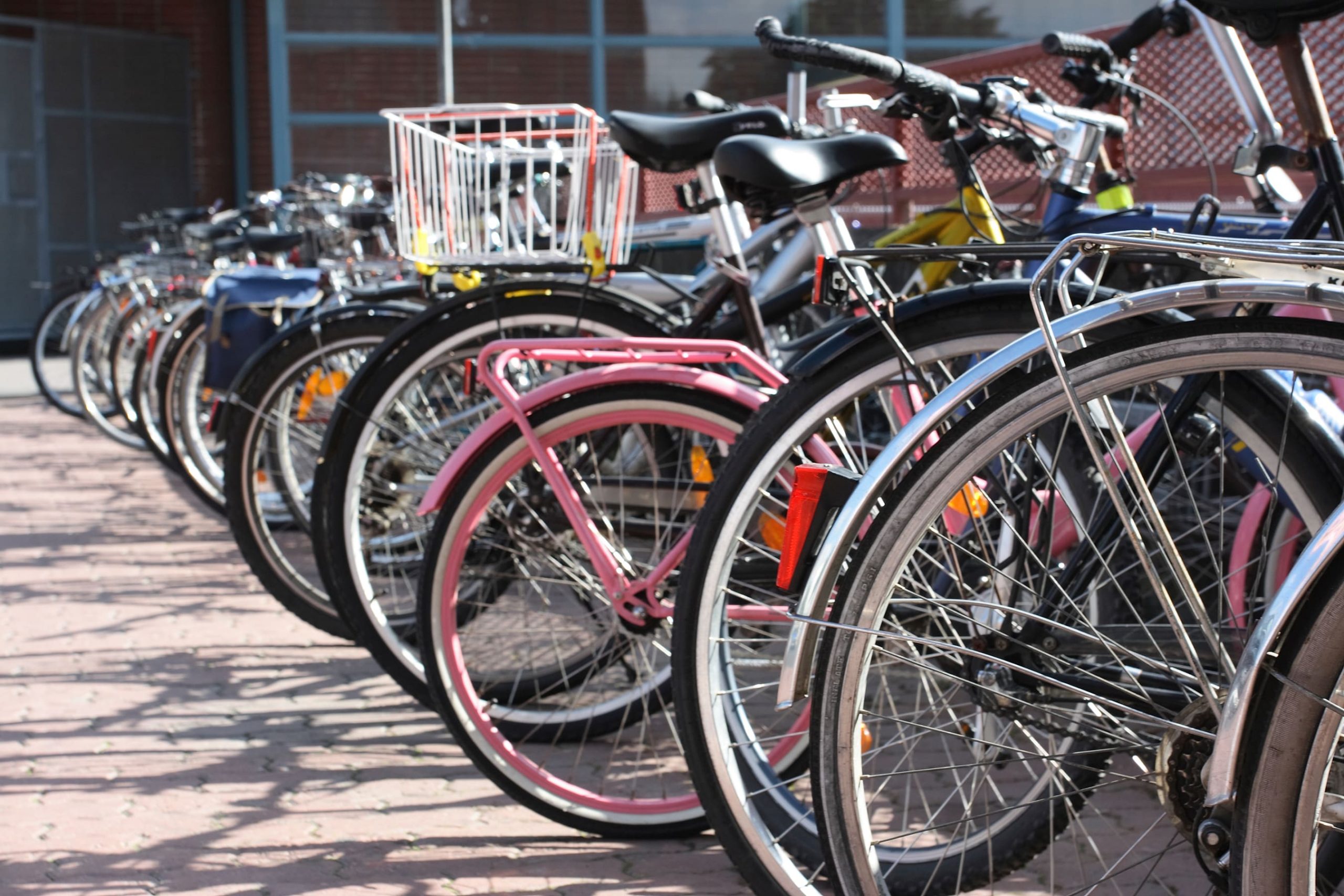 WWF’in İklim Değişikliğine Karşı Tek Dünya Kentleri Yarışması Başlıyor