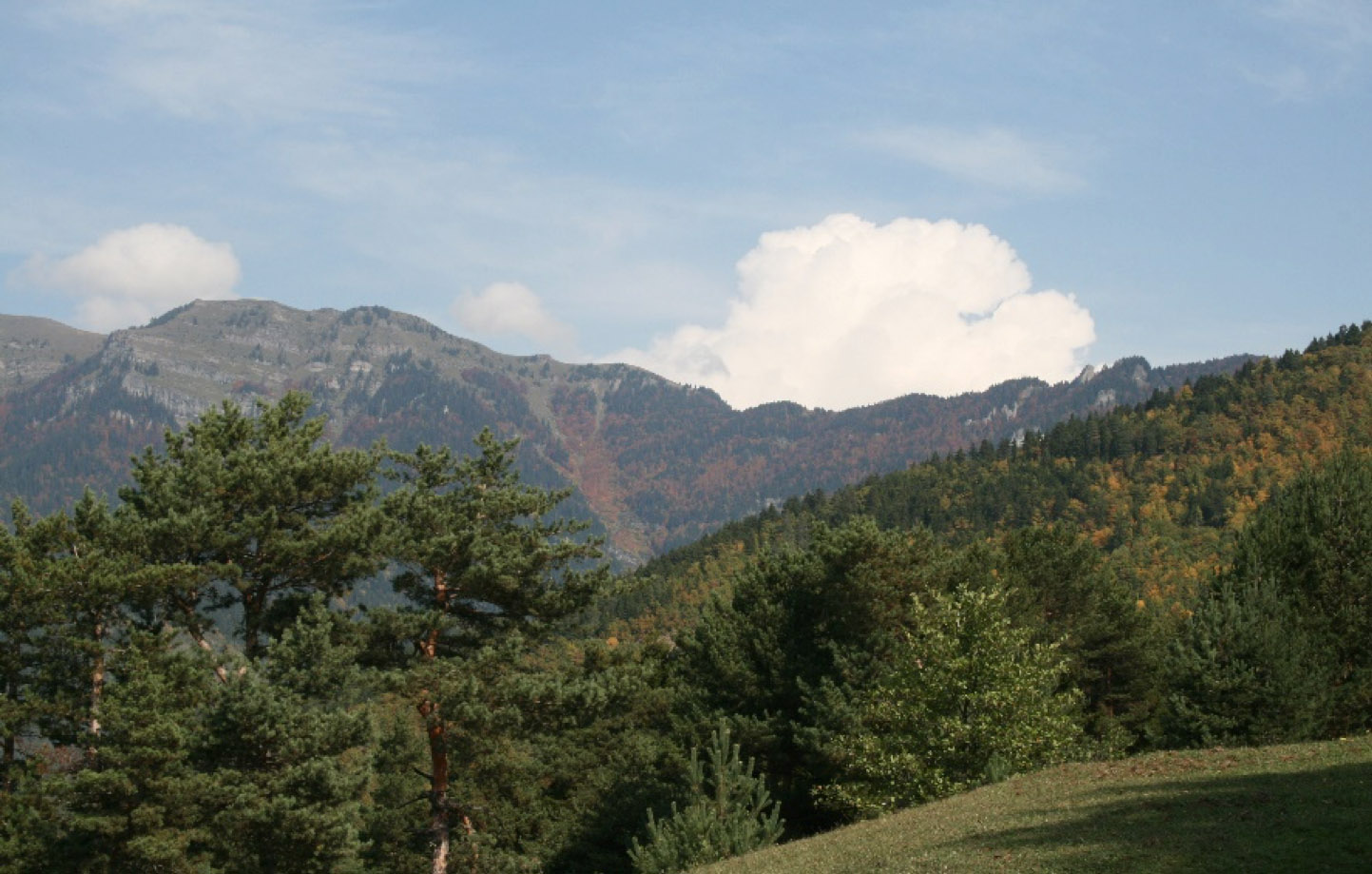 Oxford: Doğa Temelli Çözümler Dünyayı Soğutmaya Yardımcı Olabilir