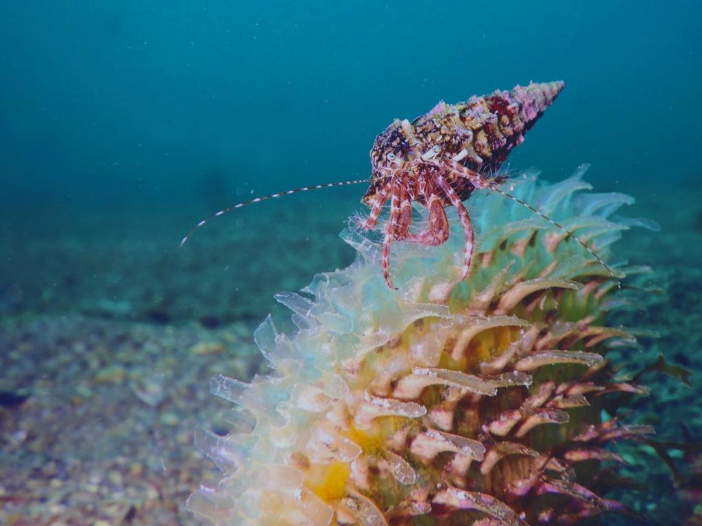 İklim Değişikliğinin Akdeniz’deki Etkileri Endişe Verici 