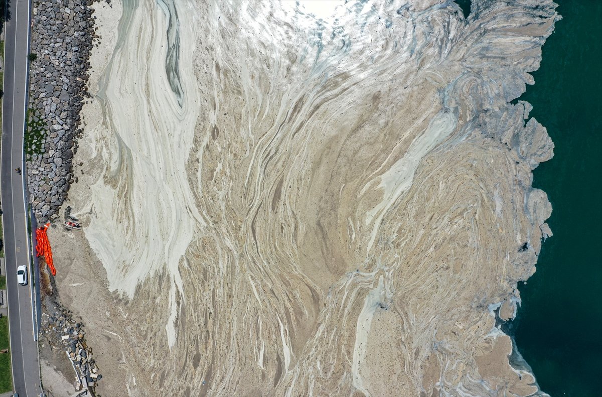 Marmara Denizi’ndeki Çevresel Yıkım Beklenmedik Yeni Salgınlara Yol Açabilir