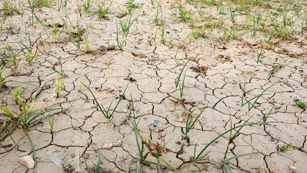 “Olağanüstü Kuraklık” Yaşayan Bölgelerin Sayısı Hızla Artıyor