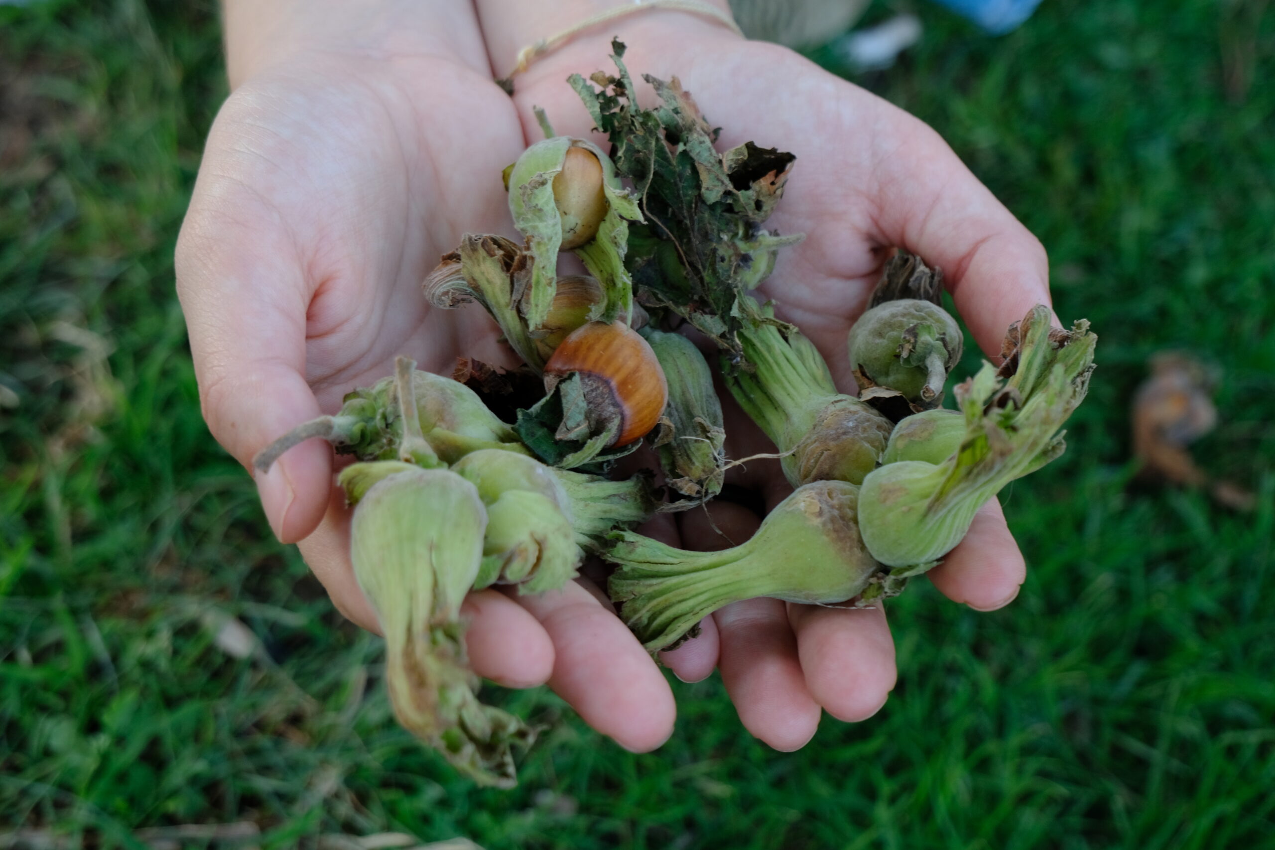 “Ortak Sorunlar Toplulukların Ortak Hareketleriyle Onarılabilir”