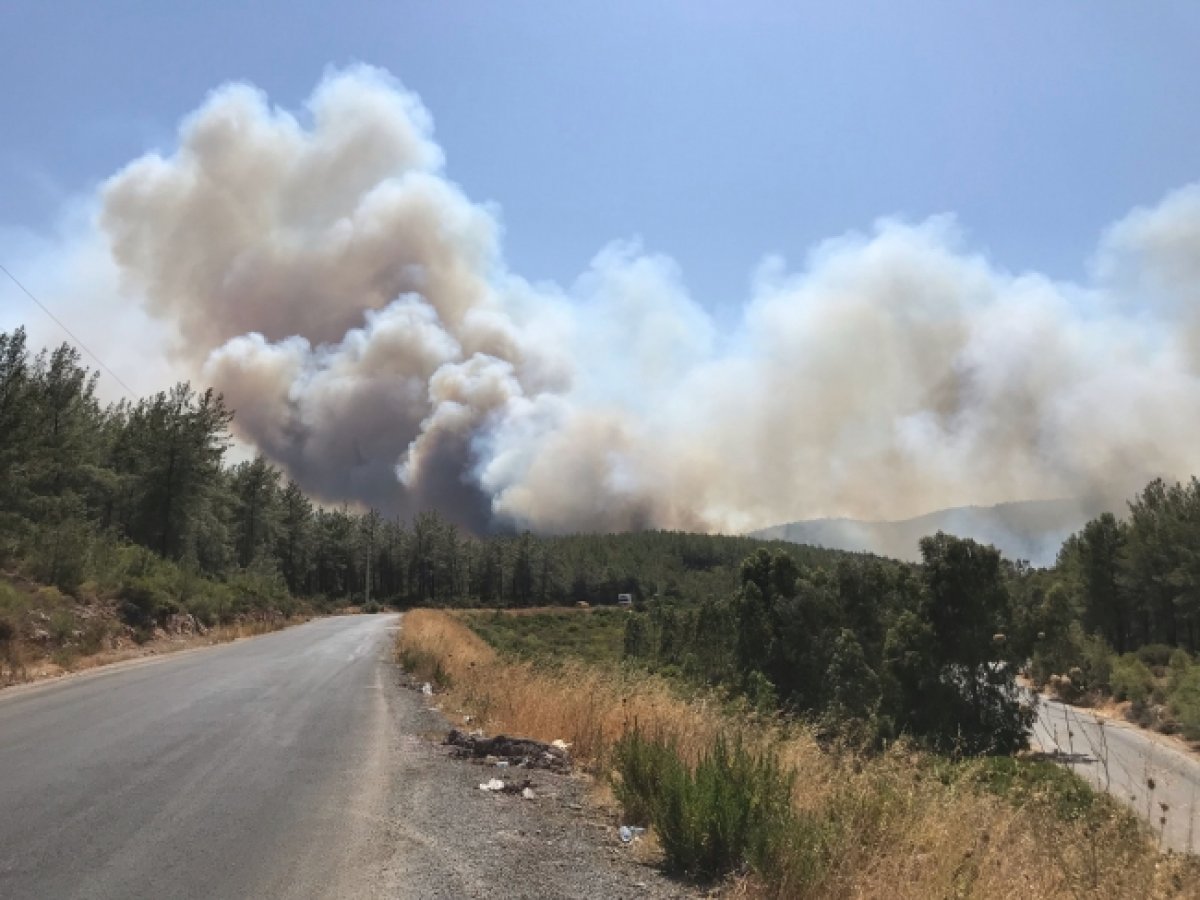 Orman Varlığını Korumak İçin “Baskı Grubu” Oluşturmak Şart