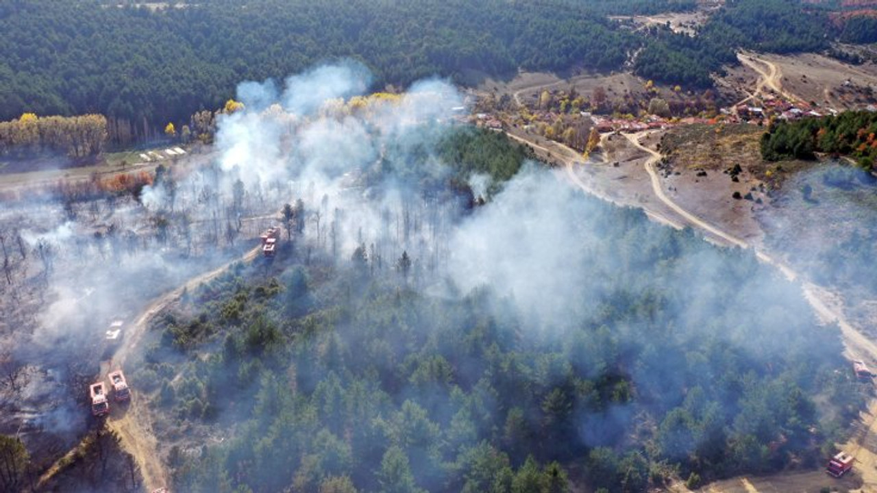 Tarım ve Orman Bakanlığı Faaliyet ve Strateji Raporlarında Yangınlarına Yer Vermiyor