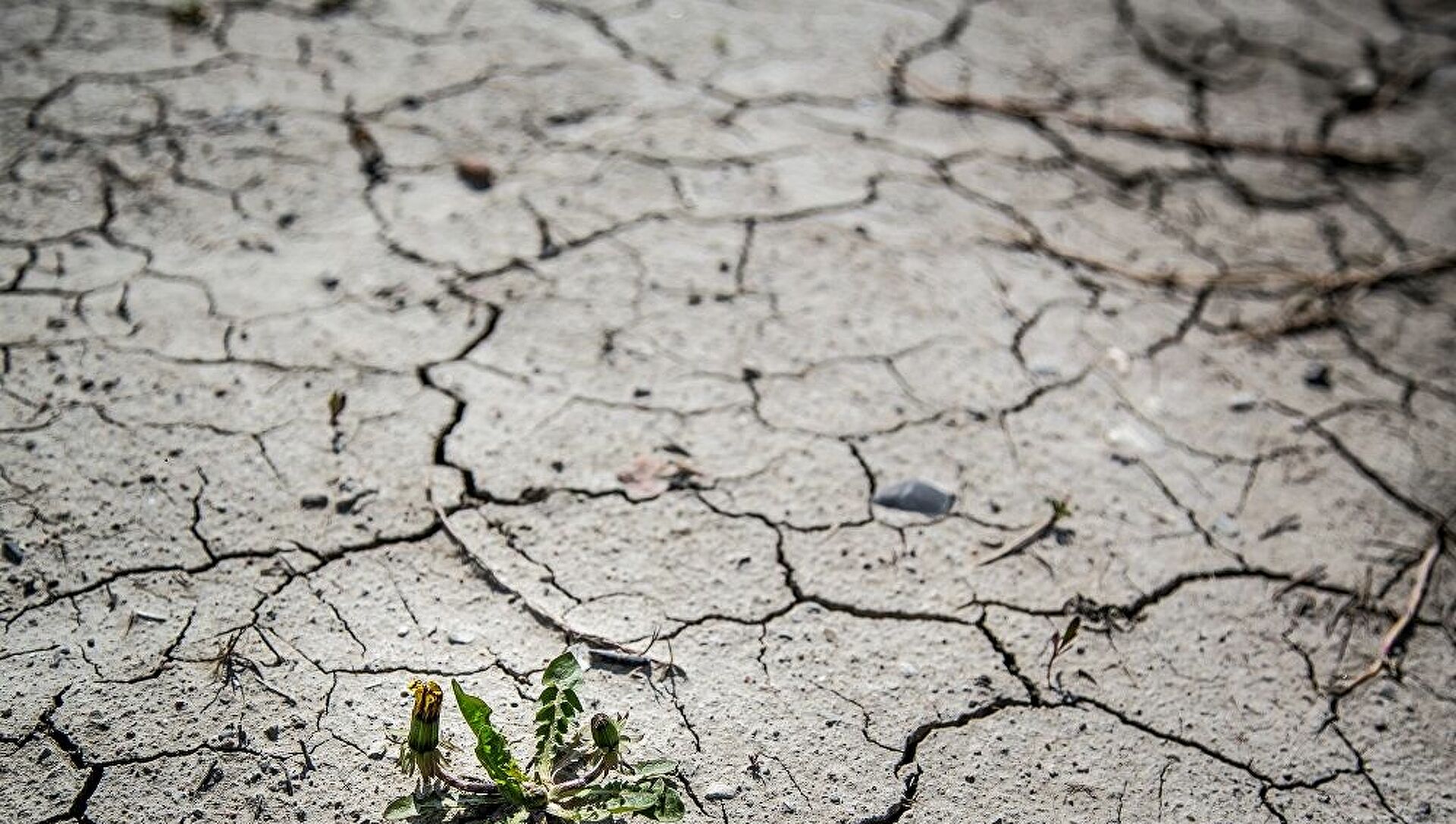 “Kuraklık Nedeniyle Derin Kuyularda Sular Kesildi”