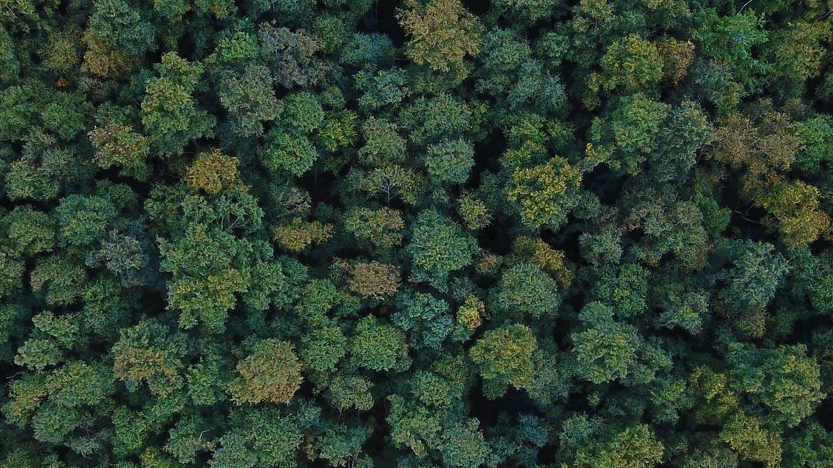 İklim Krizi ile Mücadele ve 17 SKA Paralel Şekilde İlerleme Gösterebilir