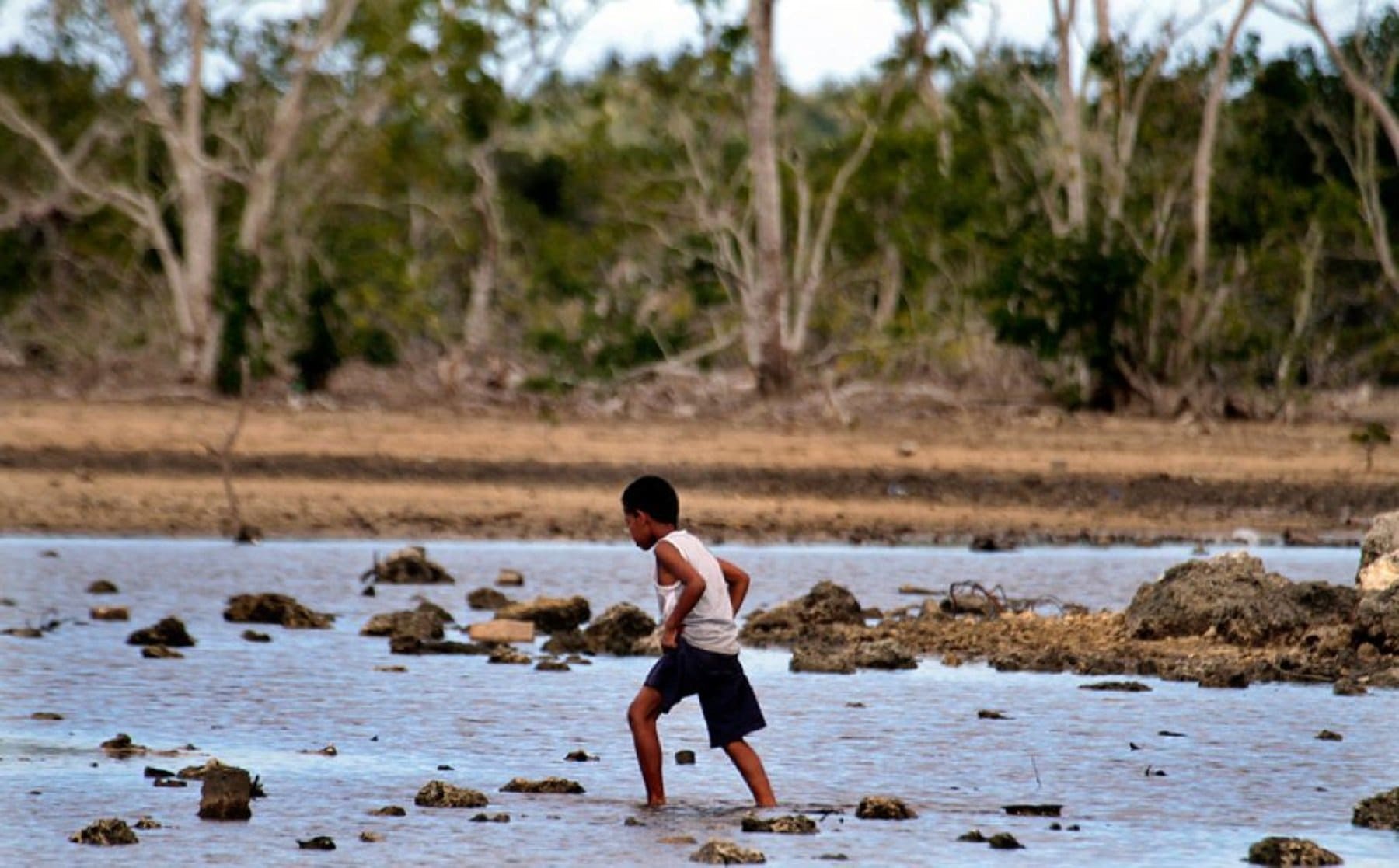 UNICEF Raporu: Bir Milyar Çocuk İklim Etkilerine Karşı “Aşırı Risk” Altında
