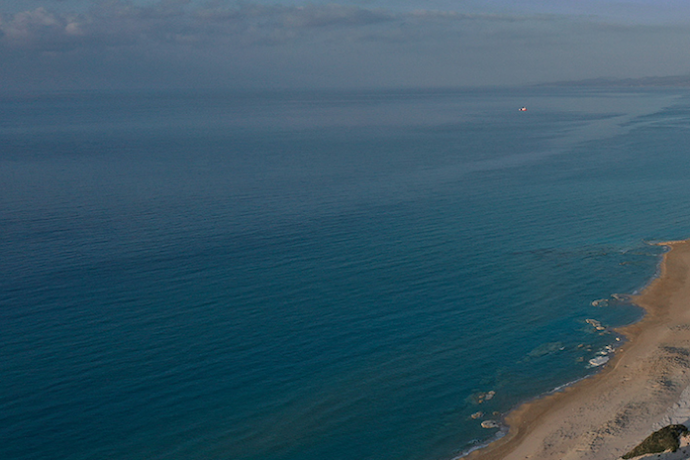 “Petrol Sızıntısı Akdeniz’de Yaşamı Tehdit Ediyor”