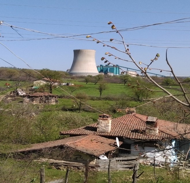 “Termik Santrallar Kendisine Bağımlı bir Yaşam Formu Oluşturuyor”