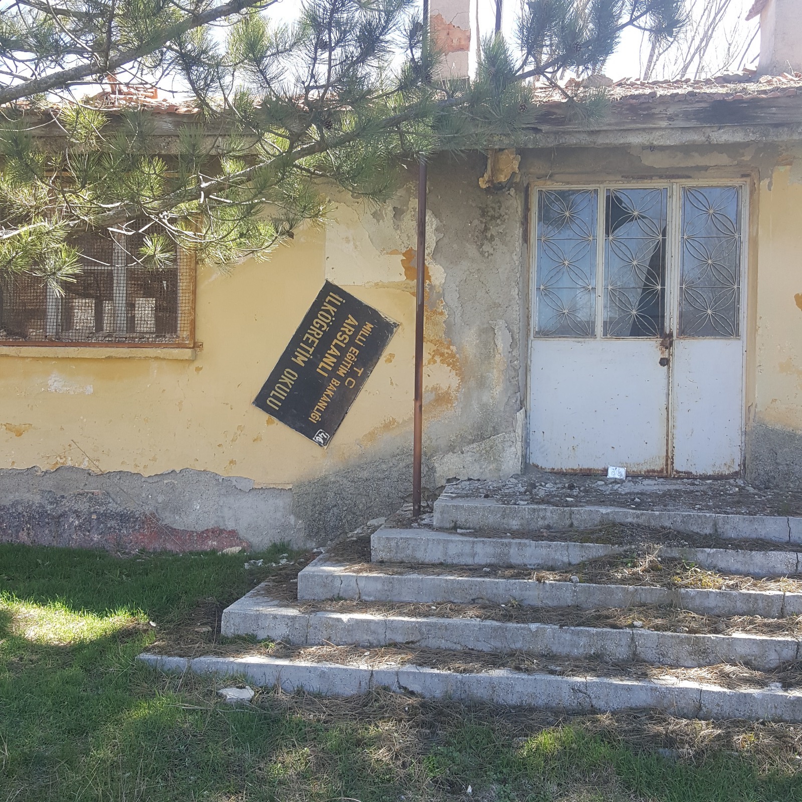 “Termik Santrallar Kendisine Bağımlı bir Yaşam Formu Oluşturuyor”