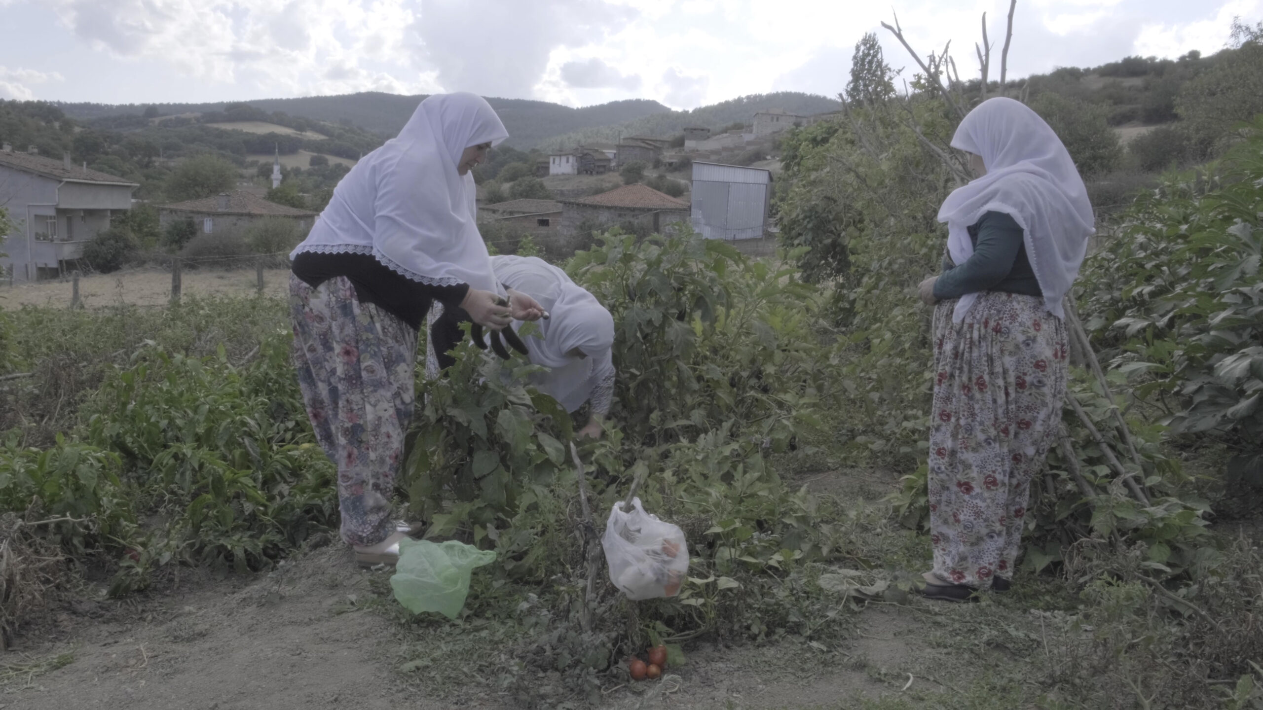 “Kadınların Topraktan Uzaklaştırılması Gıda Krizini Şiddetlendirebilir”