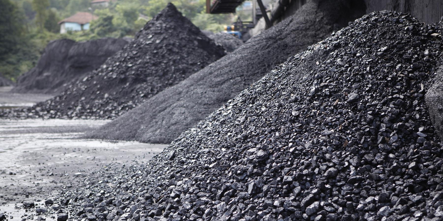 Türkiye Net Sıfır Emisyona Ulaşmak için Emisyonlarını Yüzde 80 Azaltmalı