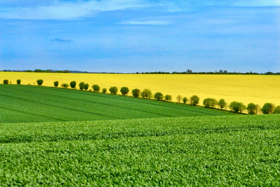 “AB’nin Yeniden Şekillendirilmiş Tarım Politikası, İklim Hedeflerine Ulaşmada Sınıfta Kaldı”