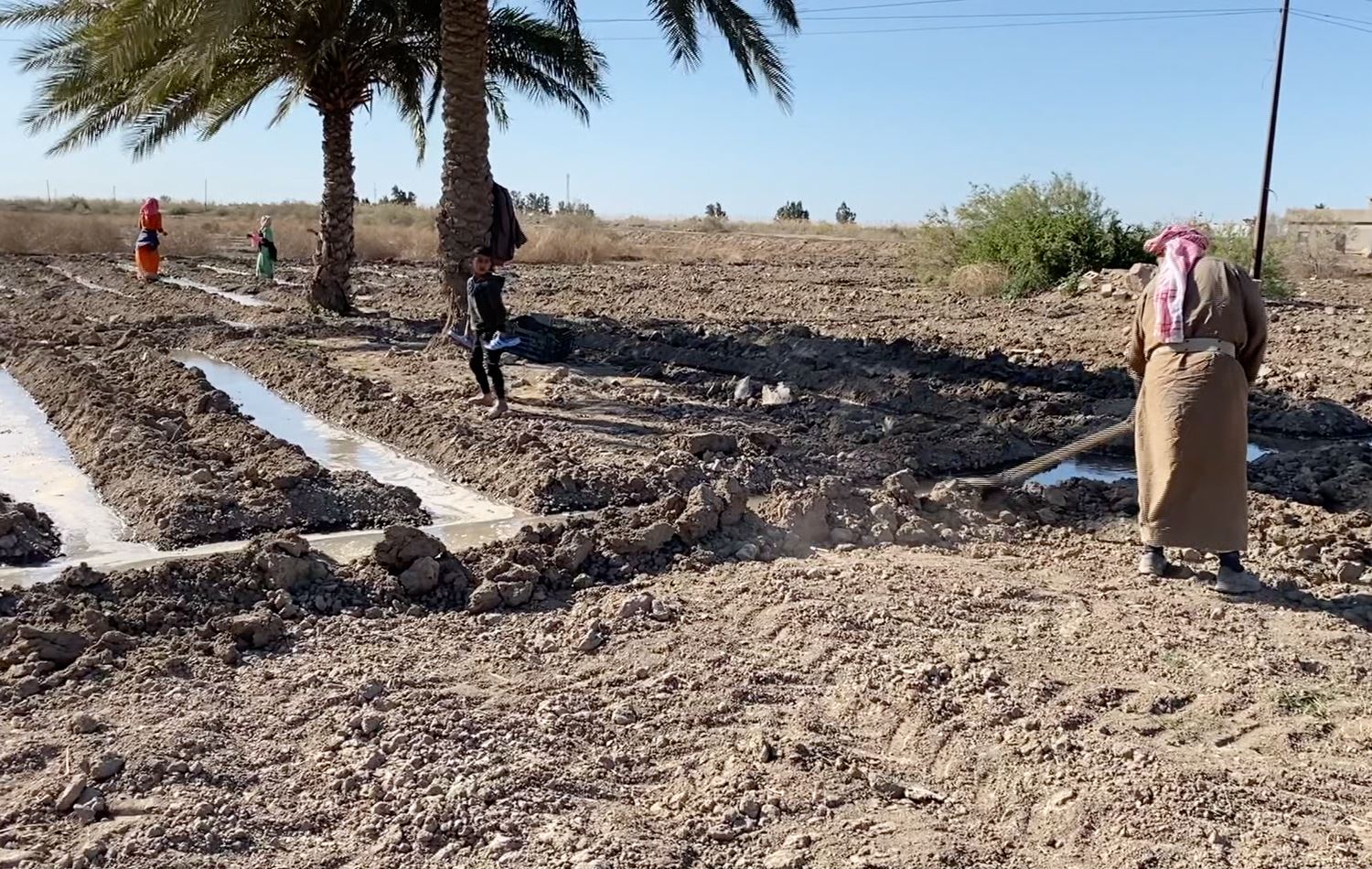 Su ve Gıda Güvenliği Çerçevesinde İklim Politikaları