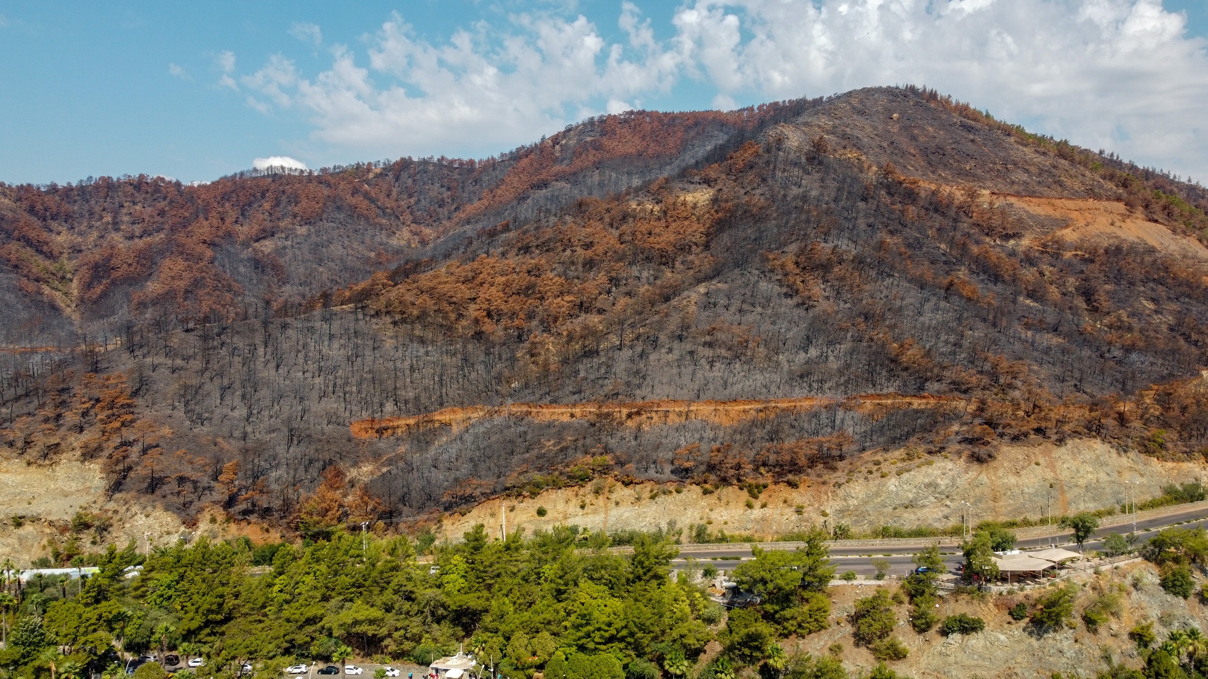 TEMA 2021’in Çevre Olaylarını Değerlendirdi