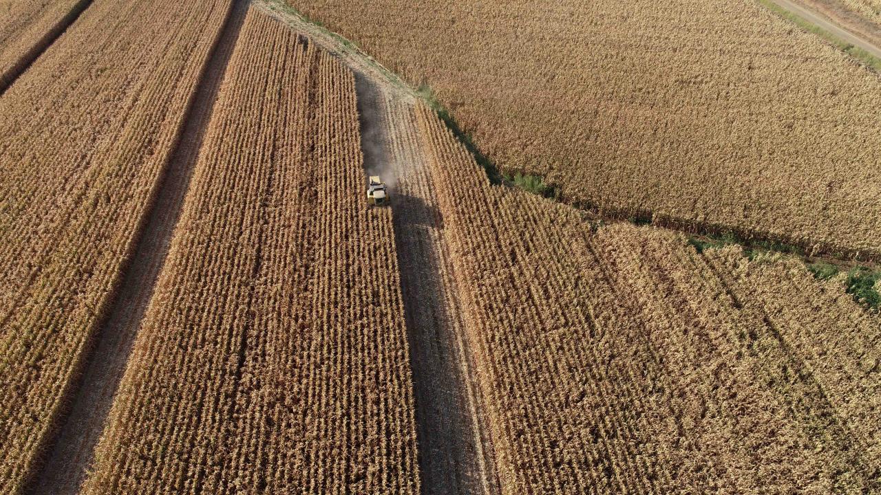 Tarım ve Orman Bakanlığı: Tarım Kaynaklı Emisyonların Azaltım Potansiyeli ve Maliyeti Belirlenecek