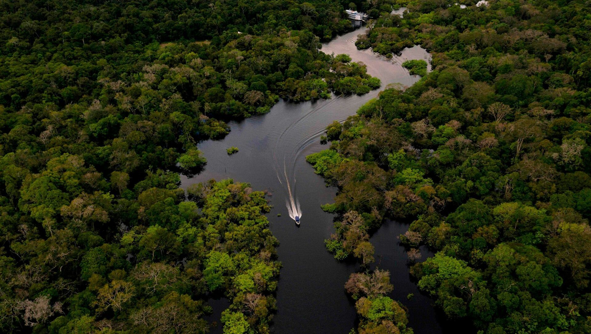 Yeni Çalışma Dünyanın 73 bin Ağaç Türüne Sahip Olduğunu Tahmin Ediyor