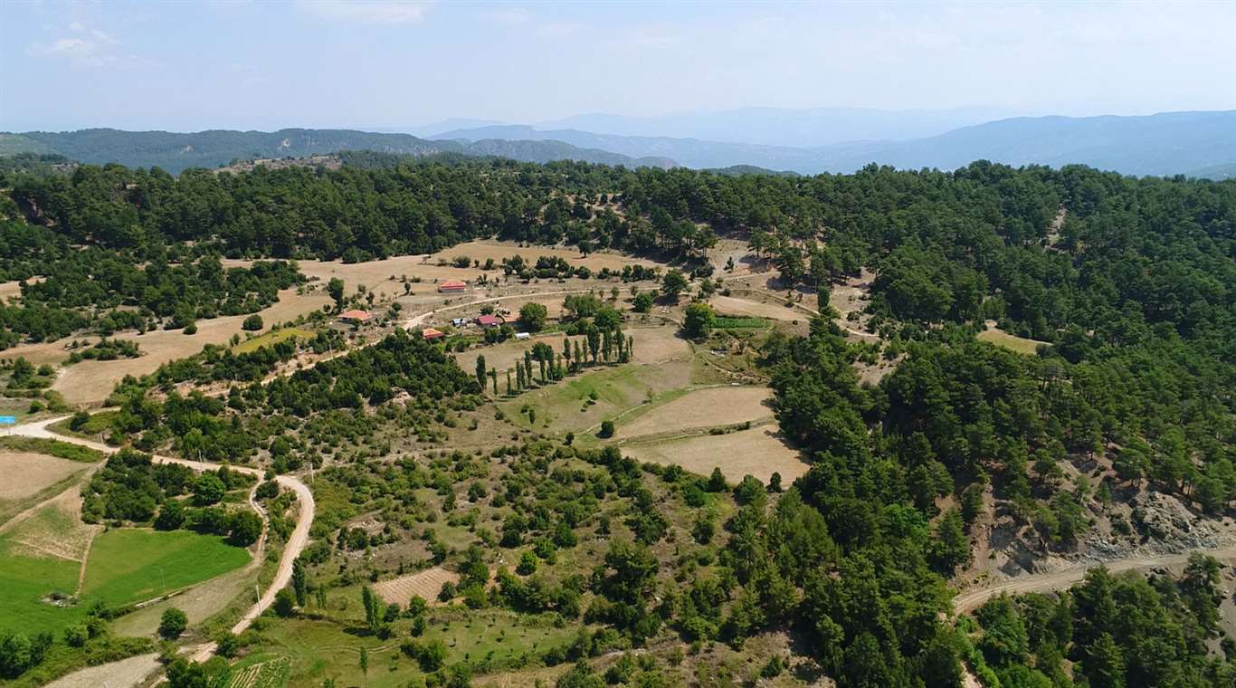 Zeytinliklerden Sonra Sıra Sit Alanlarında: Yapılaşma Yolu Açıldı