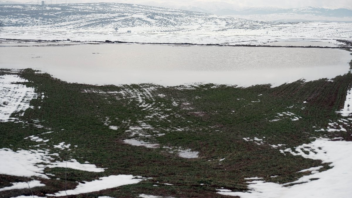 Konya Ovasının İklim Kriziyle İmtihanı: Yoğun Yağış Ekinleri Su Altında Bıraktı