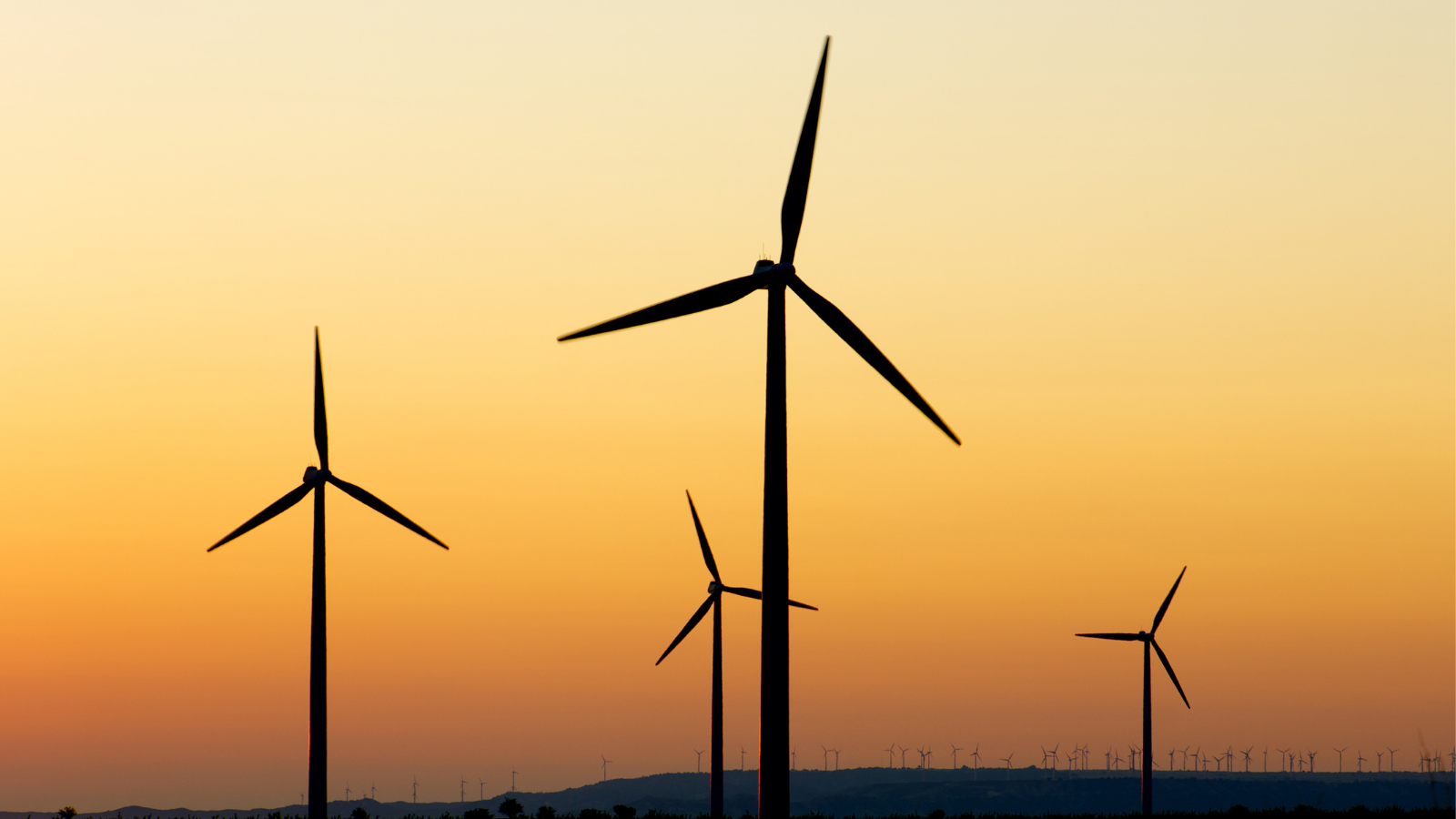 İzmir Rüzgardan En Çok Elektrik Üreten Şehir Oldu