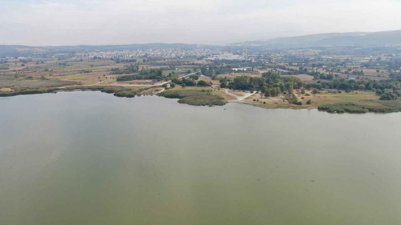 Uluabat Gölü’nde “Su Çürüyor”