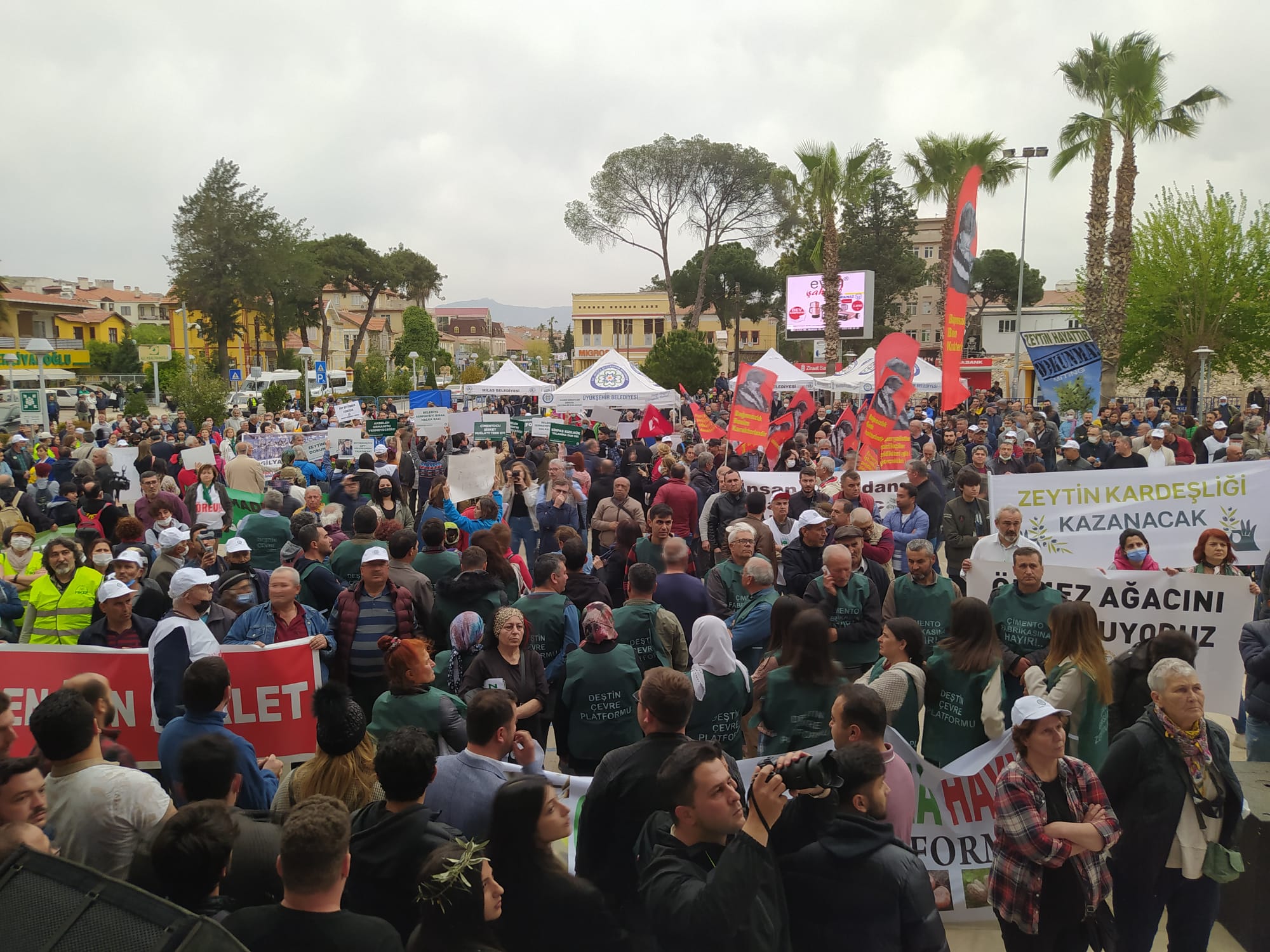 Milas’tan Seslendiler: “Zeytin Hayattır, Hayatıma Dokunma”