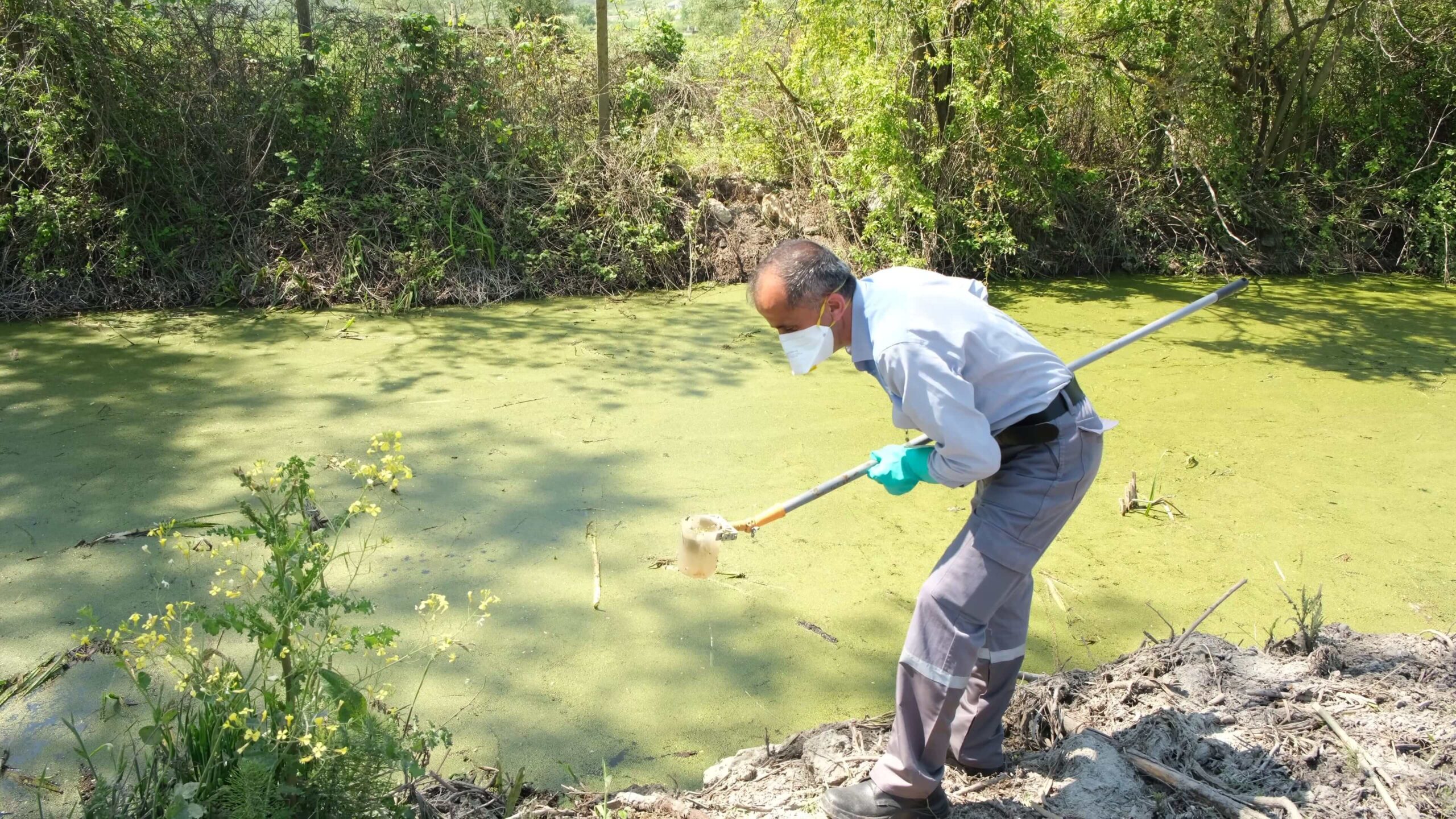 Bilimin Rehberliğinde Zehirsiz Kentler Mümkün