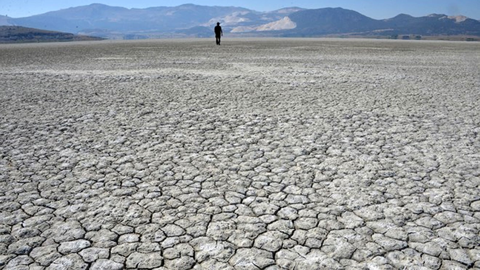 Yeni BM Raporu: Dünyanın Her Yerinde Kuraklığın Süresi ve Sıklığı Artıyor