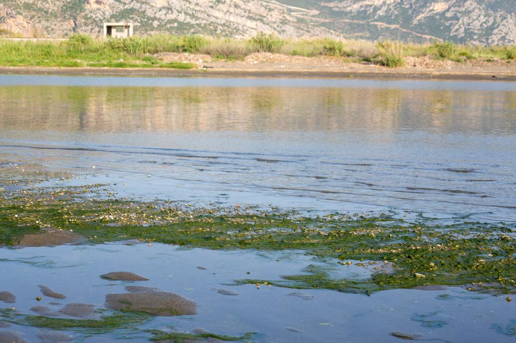 UNDP’nin de Dahil Olduğu Yeni Projede Asi Nehri’ndeki Kirlilik ile Mücadele Edilecek