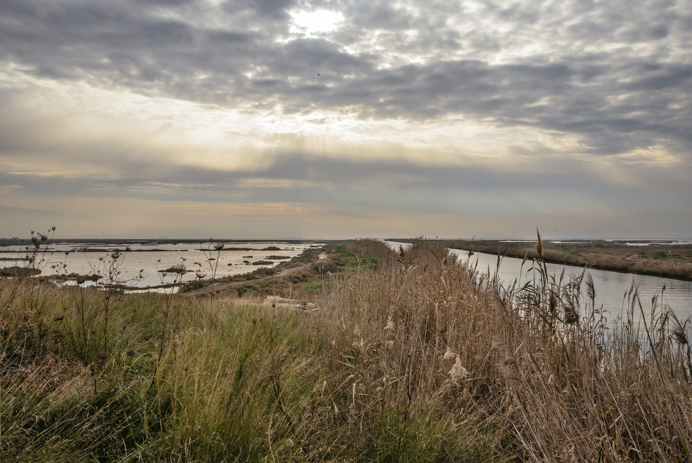 “Türkiye’nin Su Kaynakları için Seferberlik Başlatması Gerekiyor”