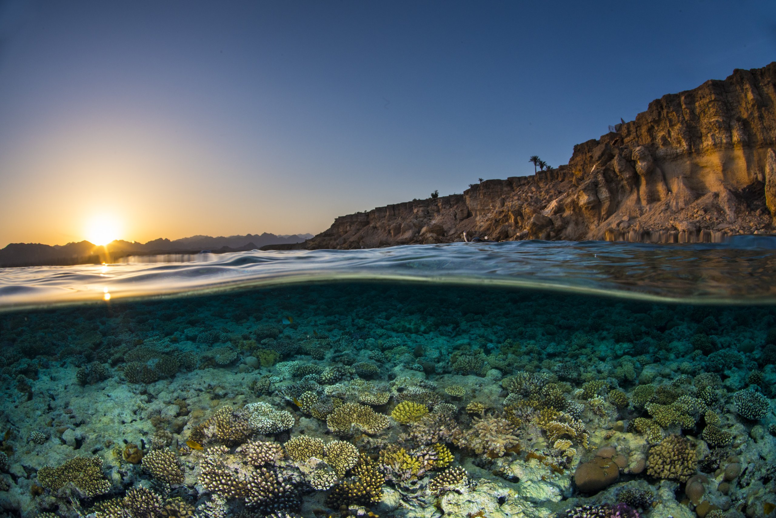 BM Okyanus Konferansı’ndan 2030’a Kadar Ulusal Deniz Alanlarının %30’unun Korunması Kararı Çıktı