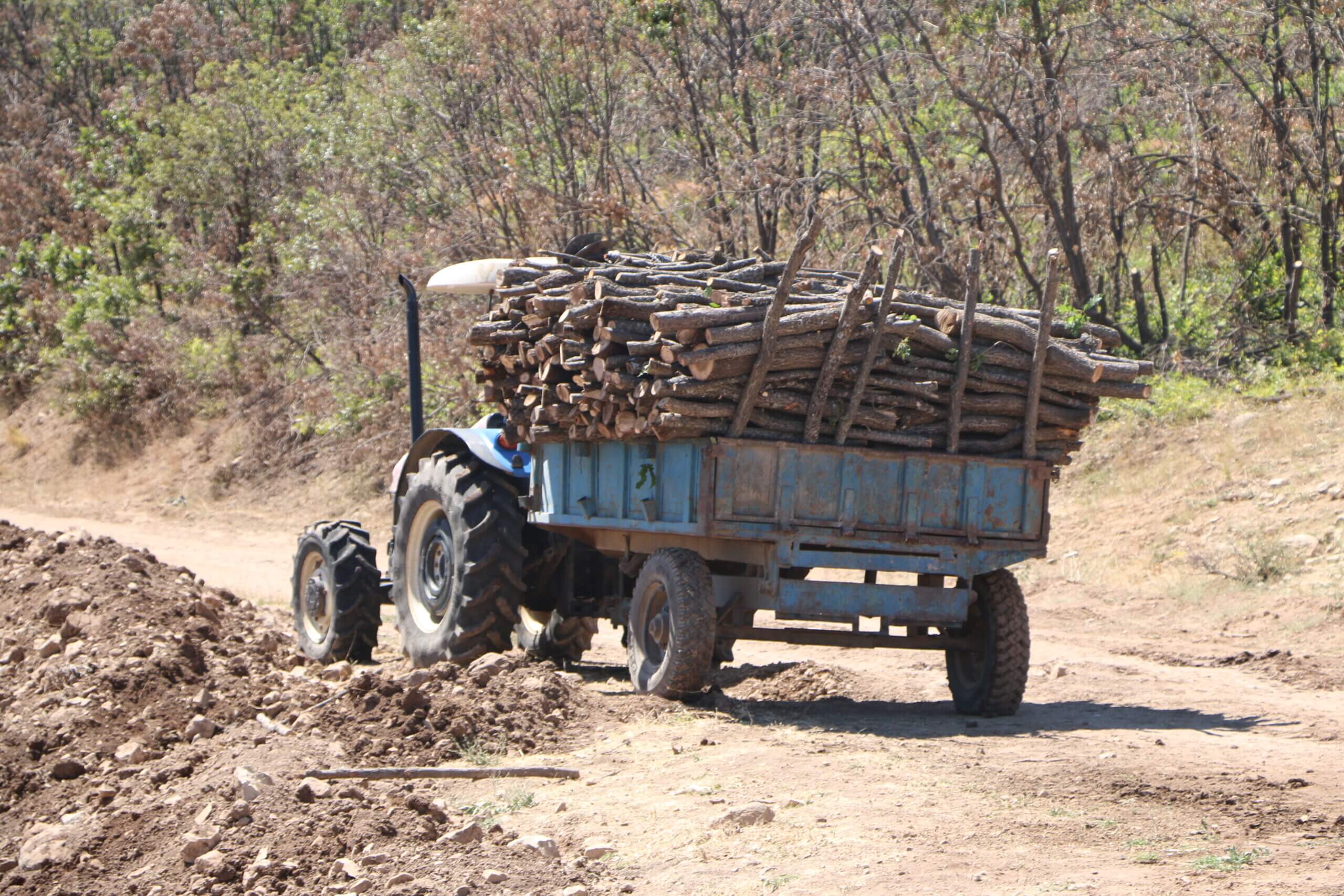 Hozat’ta Ağaç Kıyımı Sürüyor; İki Ayrı Bölge için İhaleye Çıkılmış