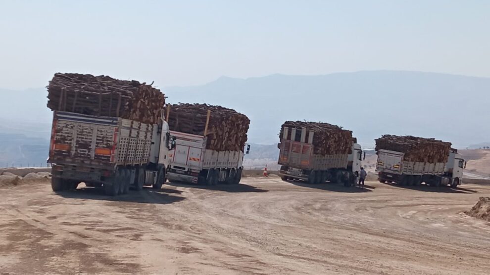 ağaç