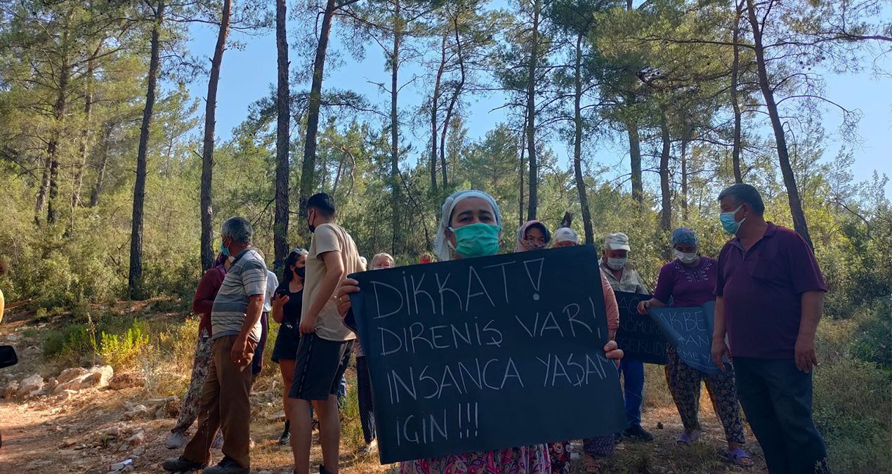 YK Enerji’nin Akbelen Ormanı’nı Kesme Talebi Reddedildi