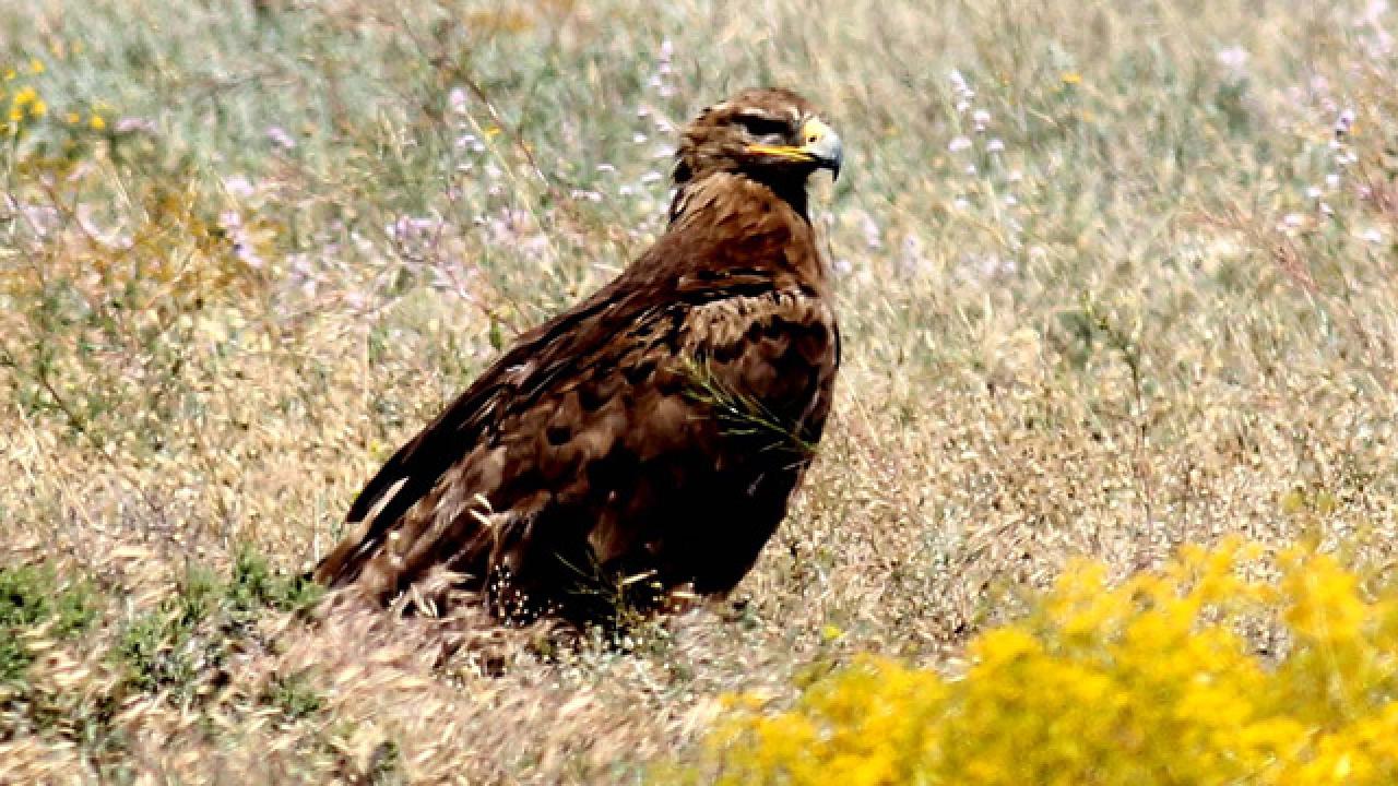 iklim değişikliği