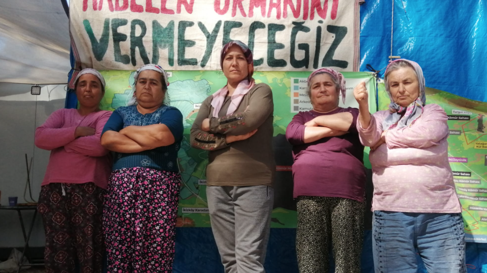 bodrum belediyesi