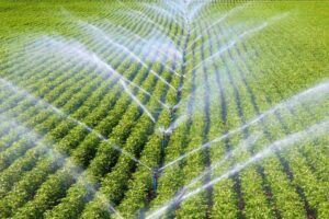 Agricultural Irrigation