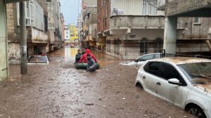 altyapı
