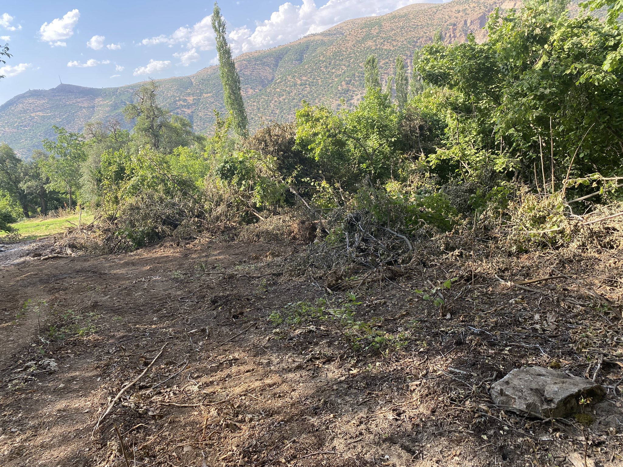 Yeşil Sol Parti Milletvekili Olan: Sokağa Çıkma Yasağının Olduğu Bölgede Doğa Katlediliyor