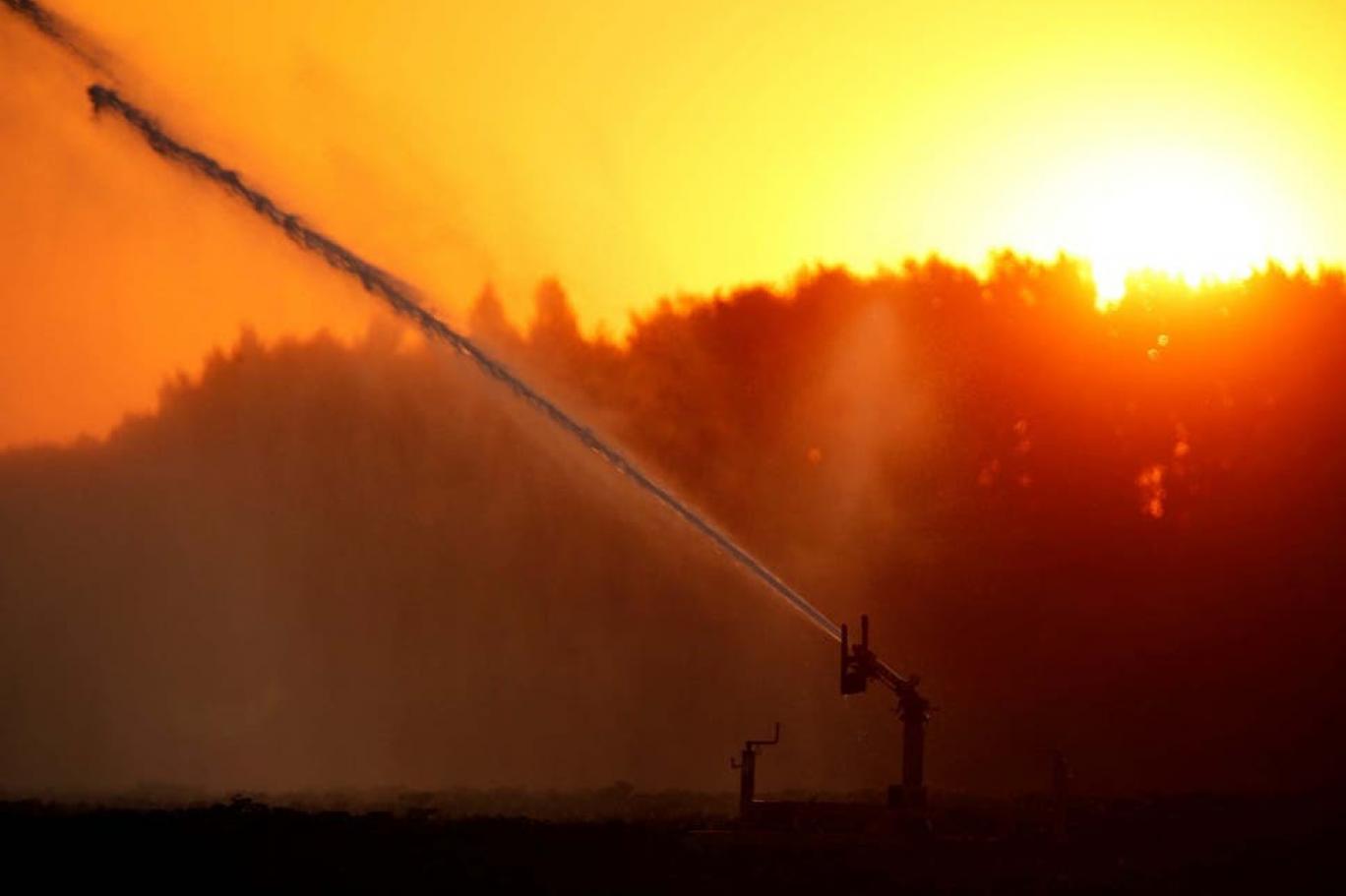 sıcak hava dalgası