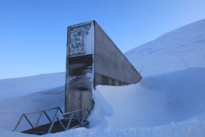 Svalbard Küresel Tohum Deposu