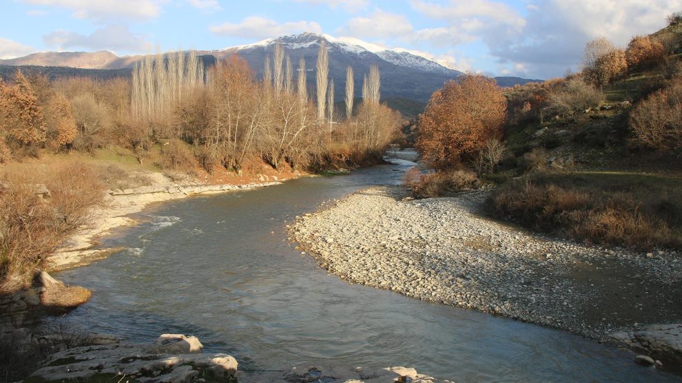 Zore Çayı
