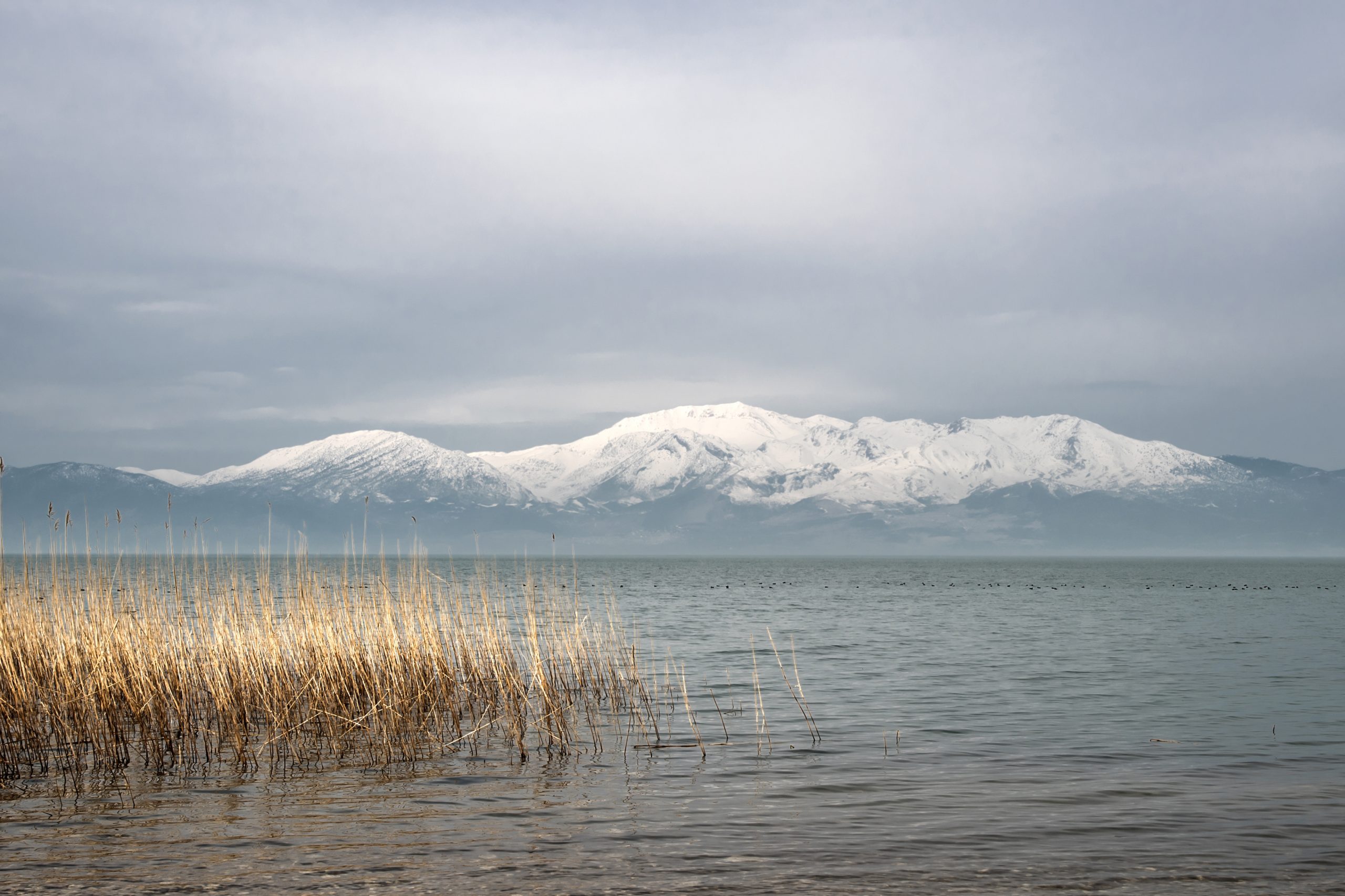 Göller Su Kaybetmeye Devam Ediyor: Emisyonların Artmasına Neden Olabilir