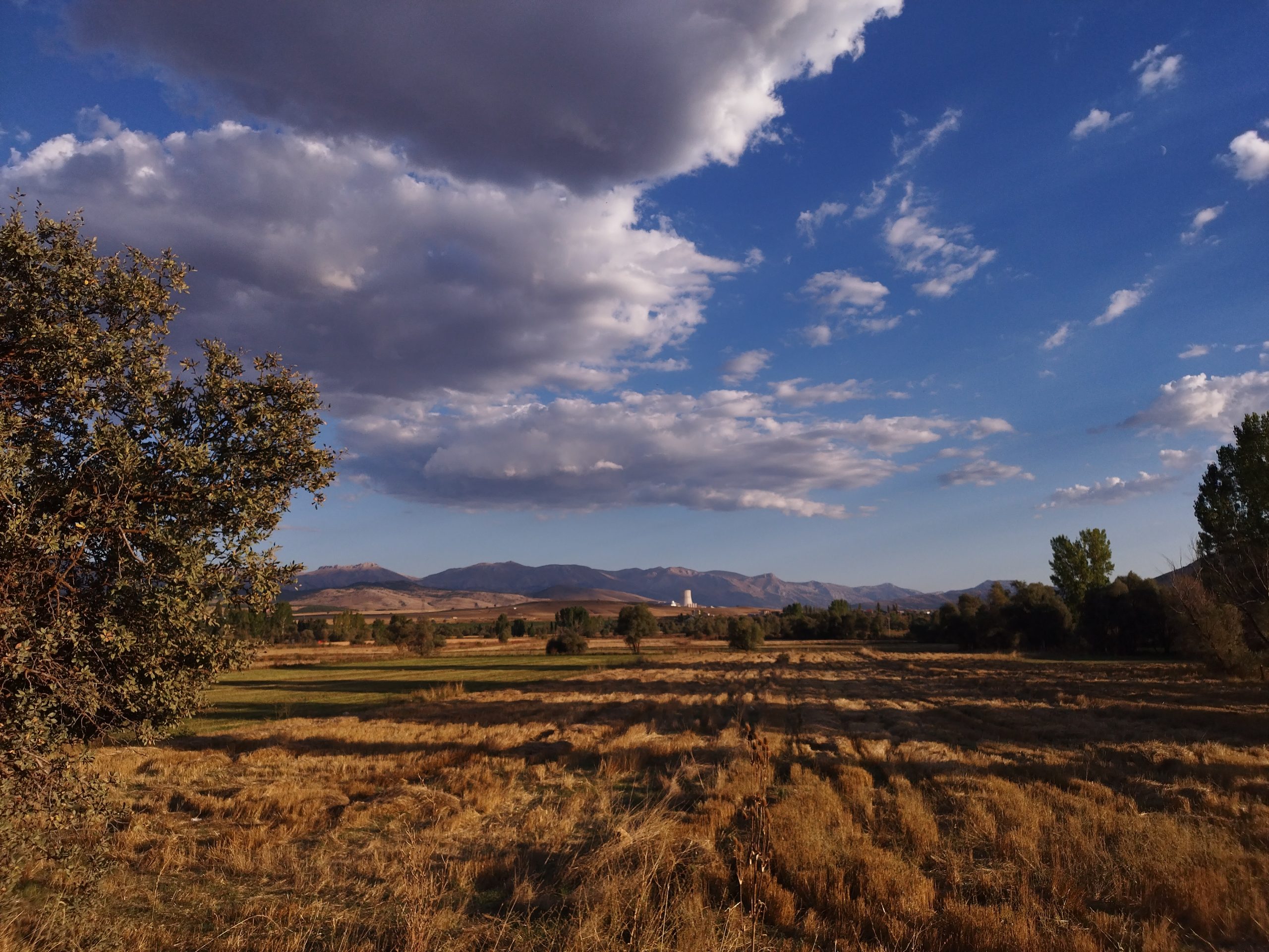 kömürden çıkış